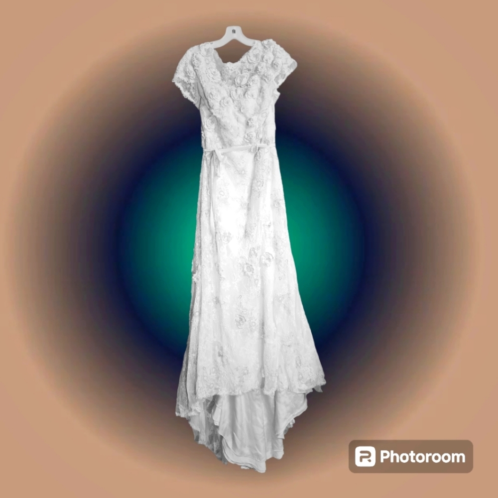 David's Bridal wedding gown